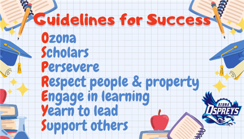 Guidelines for Success